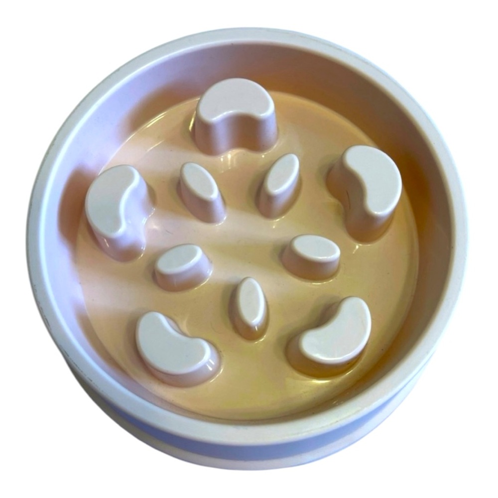 UPSKY Slow Feeder Dog Bowl